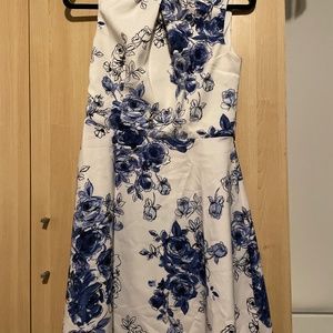 Blue and white dress